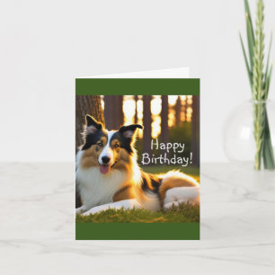Cartão Collie Dog Birthday
