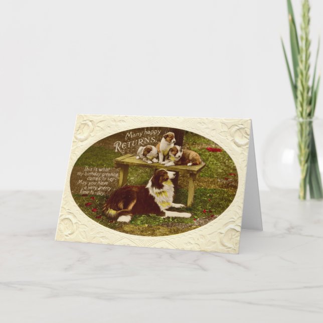 Cartão Collie Dog & Pups  Happy Birthday vintage 1910 (Frente)