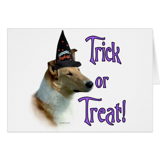 Cartão Collie (estável, suave) Trick (Frente Horizontal)