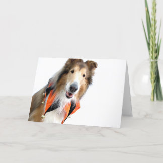 Cartão Collie in Jester Collar Cards