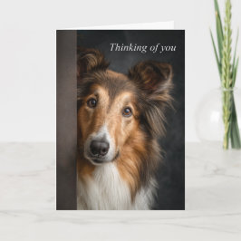 Cartão Collie Pensando em Você