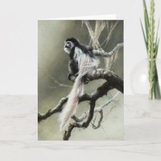 Cartão Colobus Blank Card by Andrew Denman