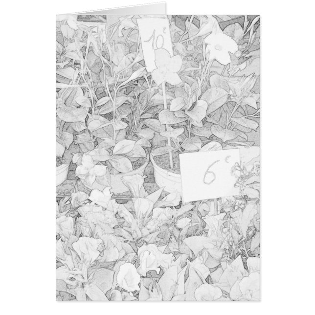 Cartão Coloração do mercado da flor (Frente)