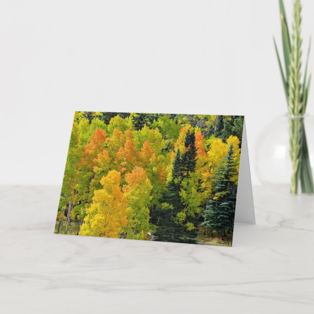 Cartão Colorado Aspen Grove (Frente)
