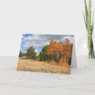 Cartão Colorado Autumn Aspen Trees All Occasion