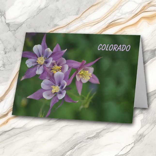 Cartão Colorado Blue Columbine All Occasion Greeting (Criador carregado)