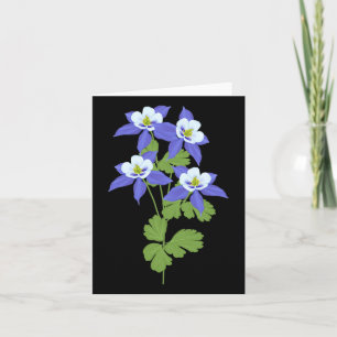 Cartão Colorado Columbine Flor Wildflower Hiking