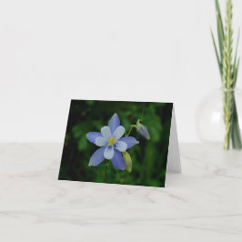 Cartão Colorado Columbine Note Card