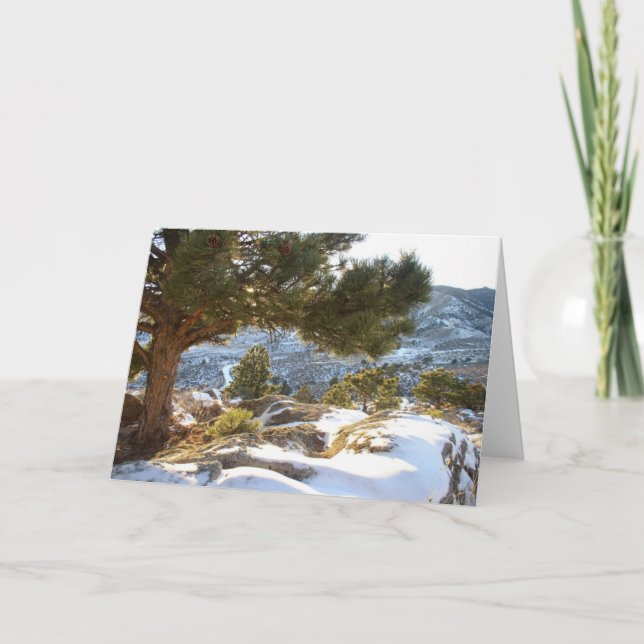 Cartão Colorado Greetings (Frente)