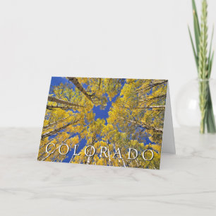 Cartão Colorado Outono Floresta de Aspen Feliz Aniver