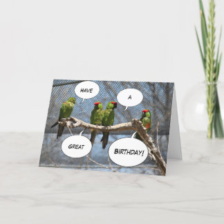 Cartão Colorful Birds Greeting Card
