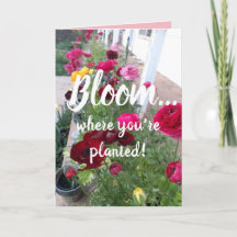 Colorful Bloom Where You're Planted Flower Card