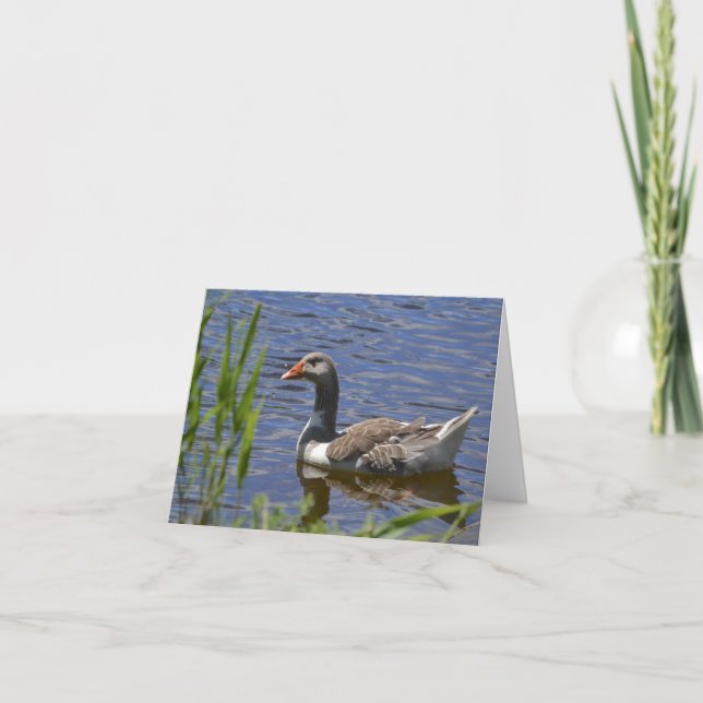 Cartão Colorful Duck Notecard (Frente)