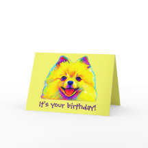 Colorful Happy Birthday Pomeranian