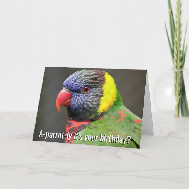 Cartão Colorful Lorikeet Birthday Card (Frente)