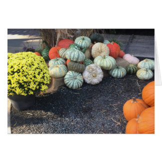 Cartão Colorida Pumpkins
