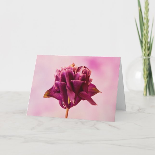 Cartão Columbina Rosa Burgundy (Frente)