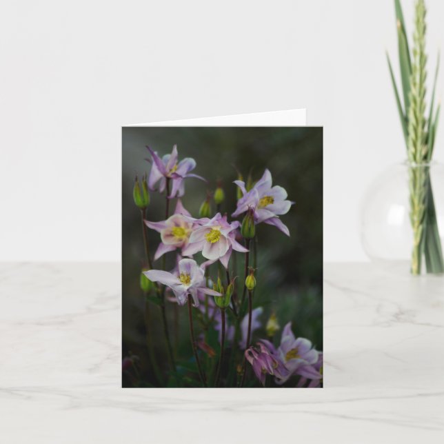Cartão Columbine Flowers Note Card (Frente)