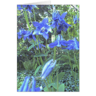 Cartão Columbines crescentes do primavera