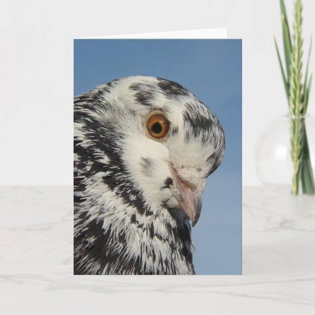 Cartão Coluna bonito Coluna Fechada, Dentro Vazio (Frente)