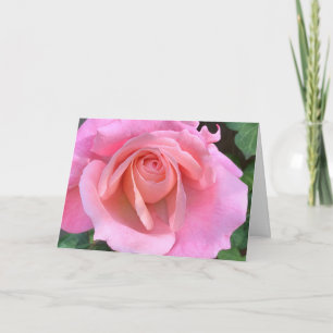 Cartão Coluna rosa cor-de-rosa