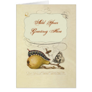 Cartão Coluna Vintage Insetos À Borboleta Da Abelha