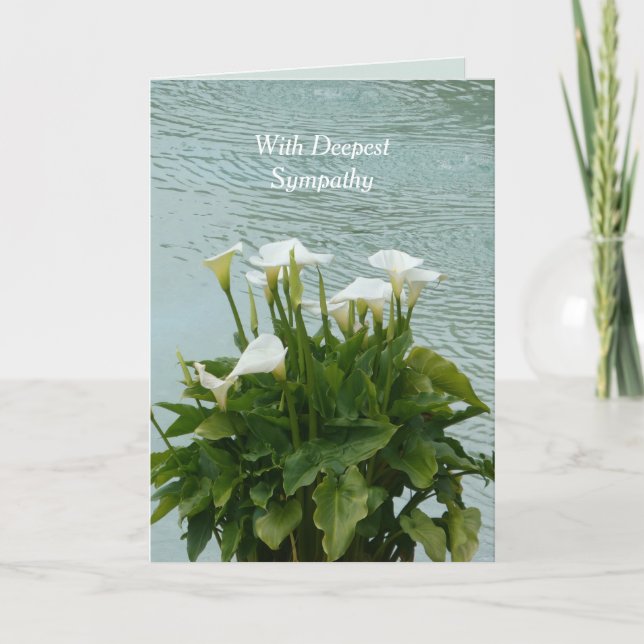 Cartão Com a mais profunda simpatia, Calla Lily (Frente)