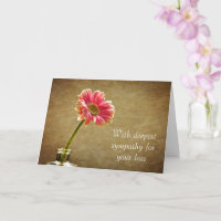 Com a mais profunda simpatia - Pink Daisy