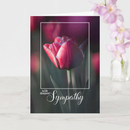 Cartão Com a Mais Profunda Simpatia Tulipa Rosa Rica