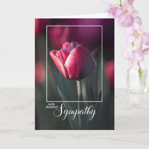 Cartão Com a Mais Profunda Simpatia Tulipa Rosa Rica