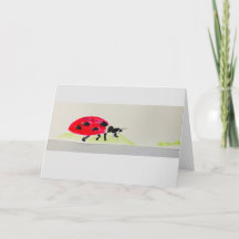 Cartão com aquarela do Giant Ladybug!