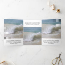 Transparência Contemporânea Bela Branca