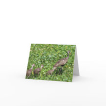 Cartão com Escritura