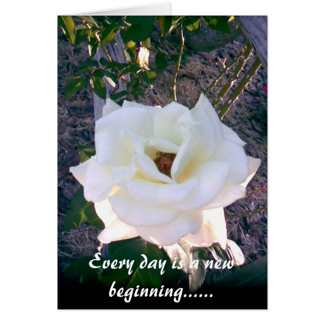 CARTÃO COM FOTOS 1 (Frente)