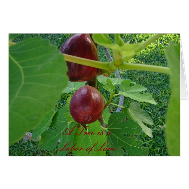 CARTÃO COM FOTOS 2 (Frente Horizontal)