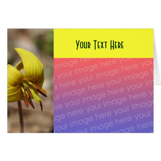 Cartão com fotos amarelo da ventoinha da rede (Frente Horizontal)
