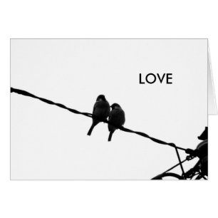 Cartão com fotos B&W de Par de Amor/Par de Reposiç