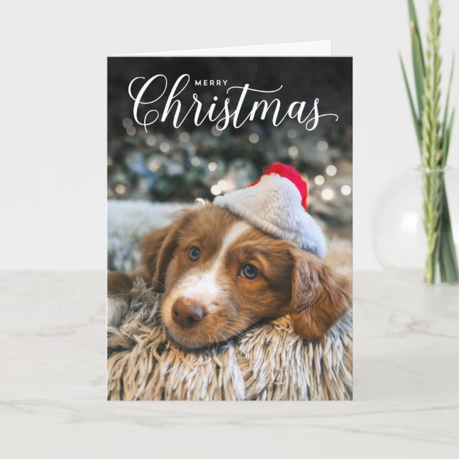 Cartão com fotos Clássico do Tipo Feliz de Natal (Frente)