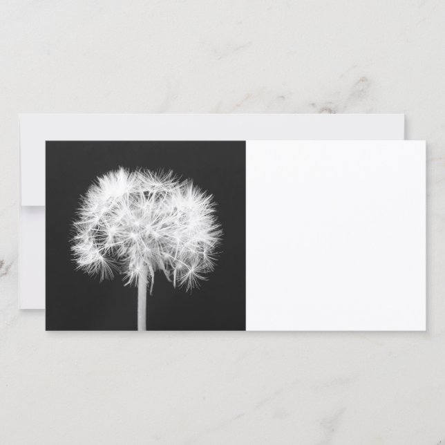 Cartão com fotos Dandelion (Frente)