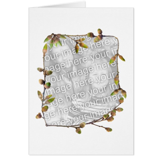 Cartão com fotos das bolotas (Frente)