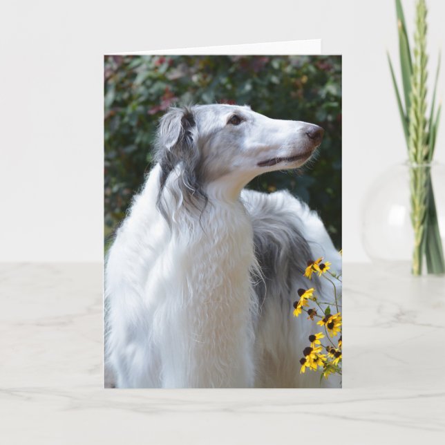 Cartão com fotos de Arte do Cão Wolfhound Russo Bo (Frente)
