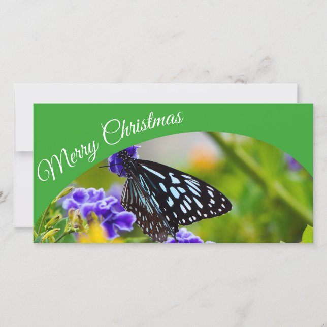 Cartão com fotos de Feliz Natal Australiano (Frente)