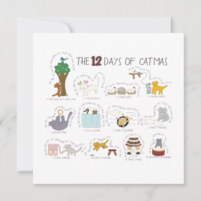 Cartão com fotos de Férias Engraçado para os Pais  (Frente)