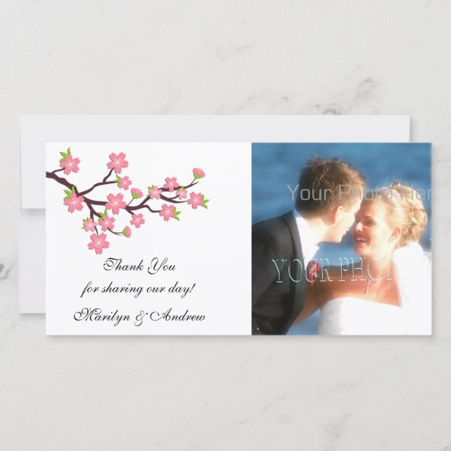 Cartão com fotos de Flor de Cereja Rosa (Frente)