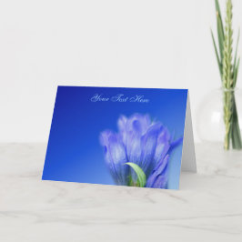 Cartão com fotos de Flor Gentil Azul