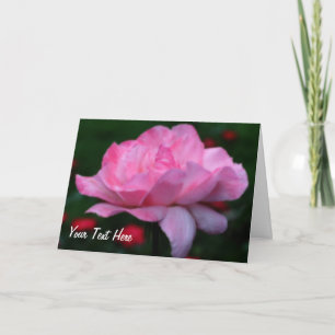 Cartão com fotos de Flor Rosa Rosa-Rosa-Rosa-Sonho