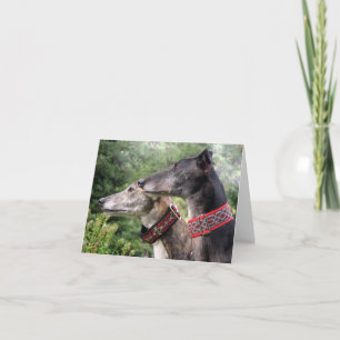Cartão com fotos de galgos (p343)