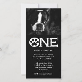 Cartão com fotos do primeiro aniversario dos Cães