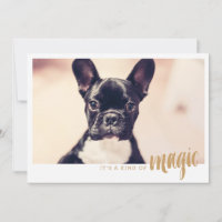 Cartão com fotos É um tipo de mágica