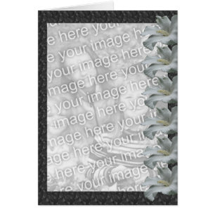 Cartão com fotos Floral Design de Hibiscus Branco